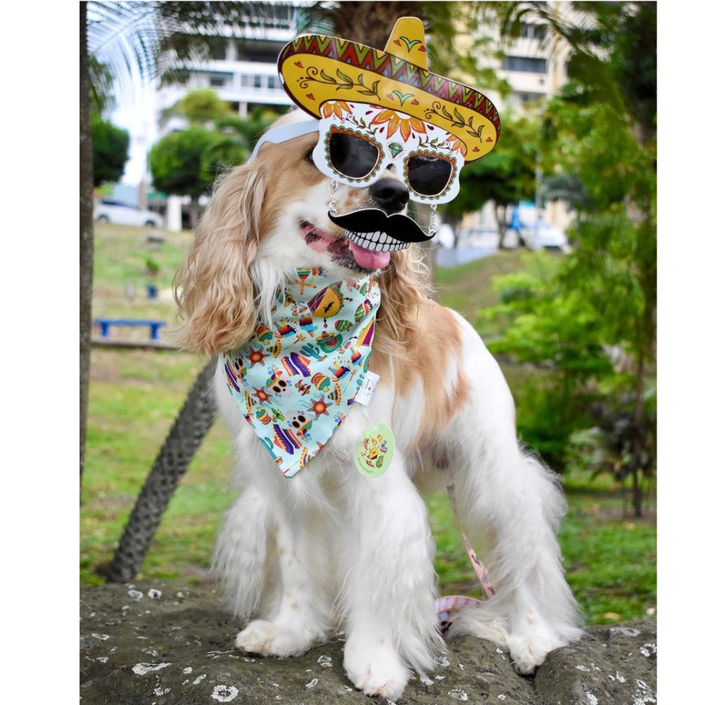 BANDANA FIESTA MEXICANA TAMAÑO XS