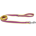 COASTAL LEASH PURPLE WITH YELLOW 6" 12926PMY06