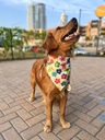 BANDANA FLORES HAWAIANAS XXS-XS