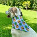 BANDANA PIÑAS L-XL