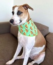 BANDANA PIZZA L-XL