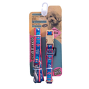 JUEGO CORREA-COLLAR SMALL
