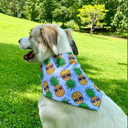 BANDANA PIÑAS TAMAÑO XS