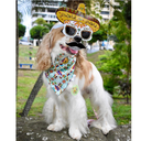 BANDANA FIESTA MEXICANA TAMAÑO XS